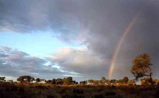 When to Go on African Safari & Where: Best time to Visit Africa