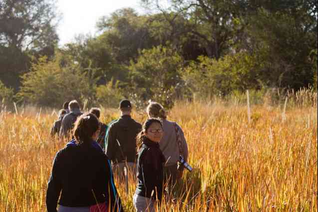 Okavango Delta walking safari