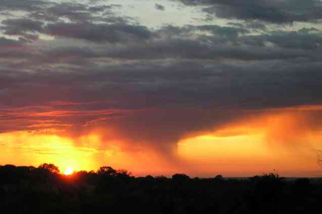 Thunderstorm, Botswana safari