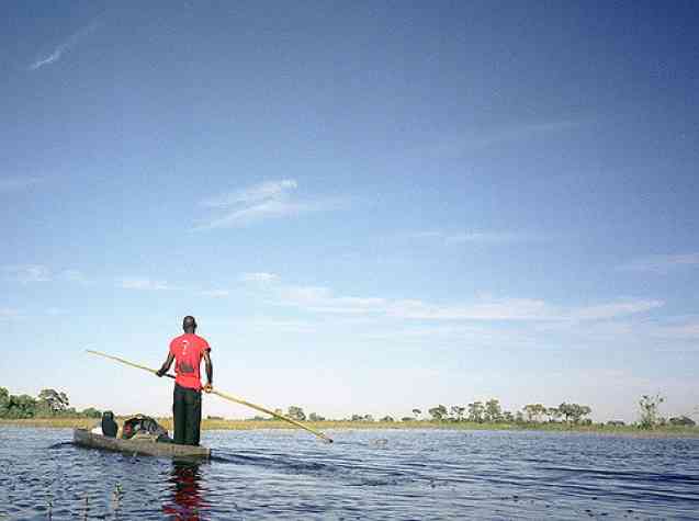 Mokoro, Okavango Delta safari