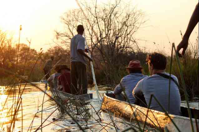 Mokoro safari, Okavango Delta