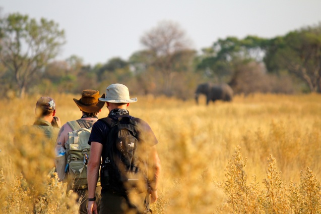 botswana safari cost per person