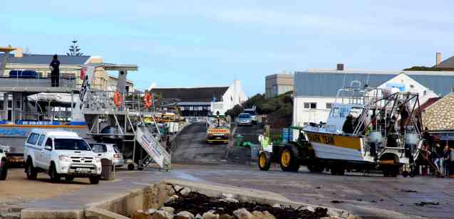 Harbour bustle