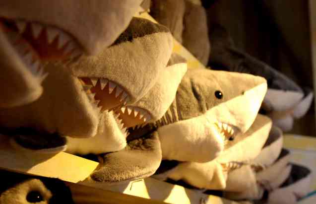 Toy shark