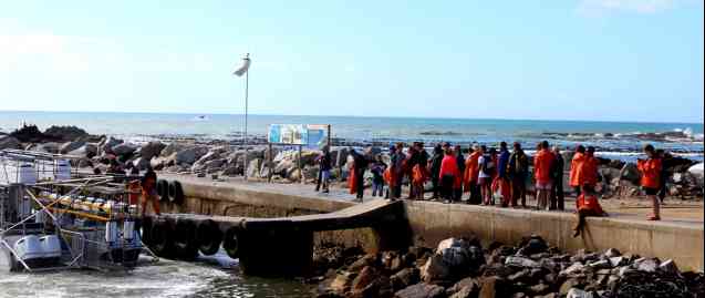 Waiting to board-kleinbaai harbour