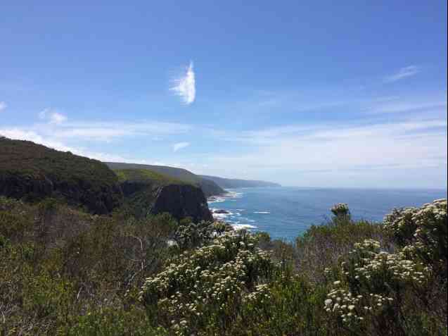 Fynbos hill