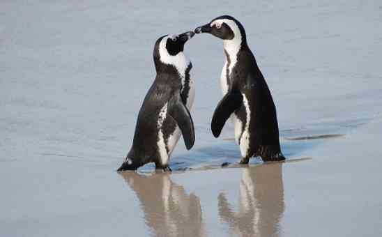 6 Simple Ways to Make a Difference on Your Travels: Give Back on Your African Safari
