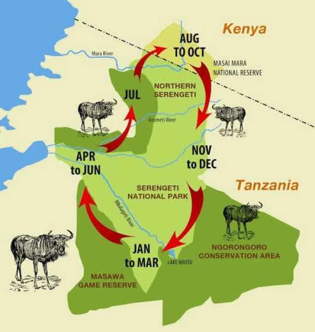 Migration seasons