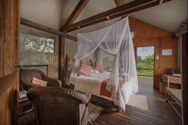 Kruger Concession Safari Lodge
