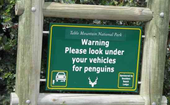 Game Reserve, National Park or Wildlife Conservancy? What do the names mean?