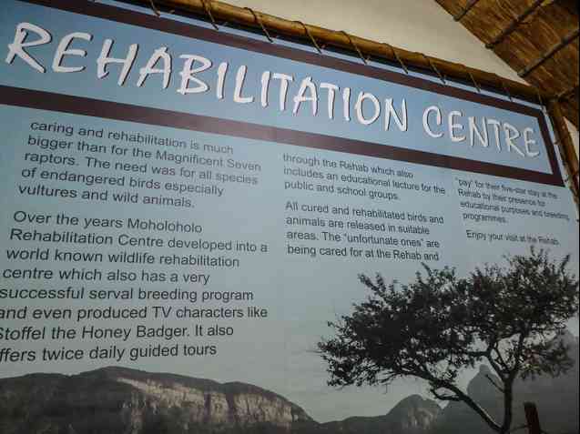 Moholoholo Wildlife Rehabilitation Centre