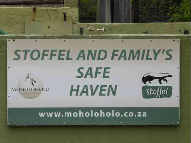 Moholoholo Animal Rescue Center