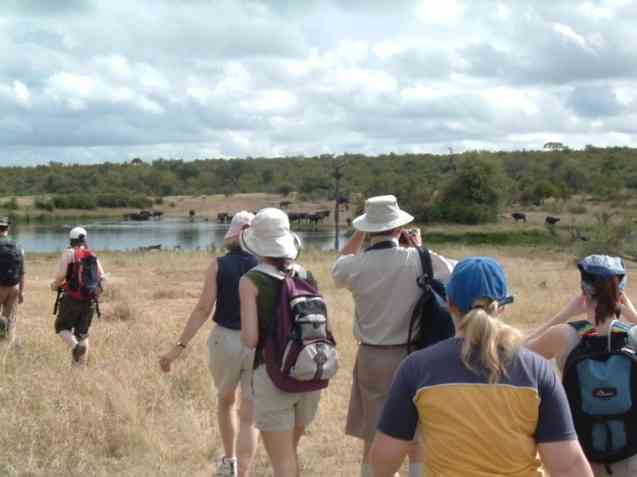 Greater Kruger walking safaris
