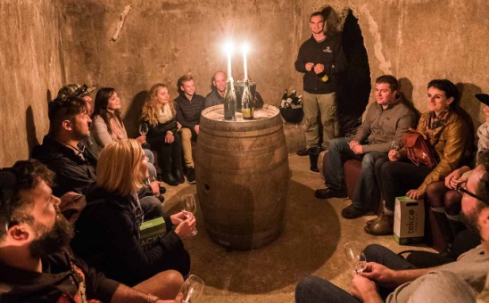 6 of the Best Winter Festivals in South Africa: Fun Events for Music, Wine, Arts & More