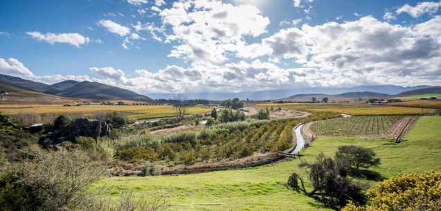 Robertson Wine Valley