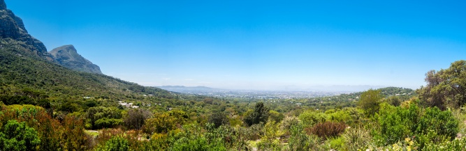 Kirstenbosch Panorama