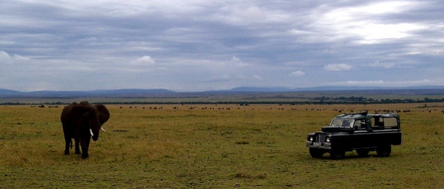 Elephant and landrover