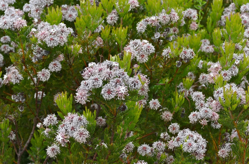 10 winter things to do in south africa