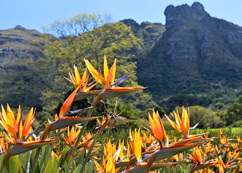 10 winter things to do in south africa