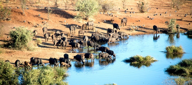 Winter in Kruger