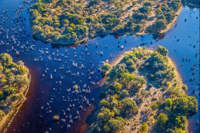 Okavango Delta from the air