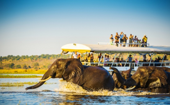 African River Safaris - Top Places from African Budget Safaris