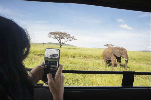 Download apps apps and music before you leave on safari