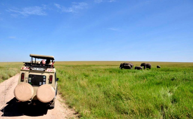 Kenya safari vehicle safari