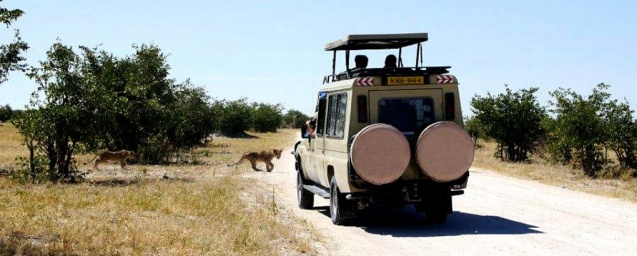 Namibia experience-2