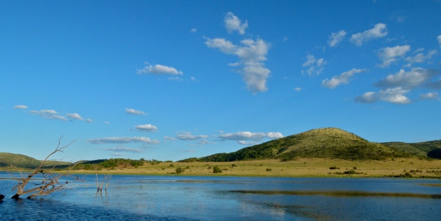 Pilanesberg game reserve