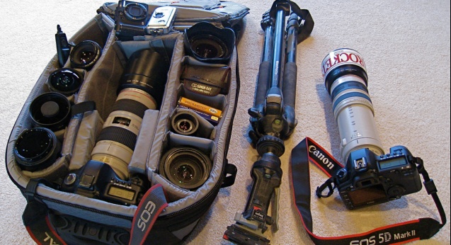Special interest photographic safari