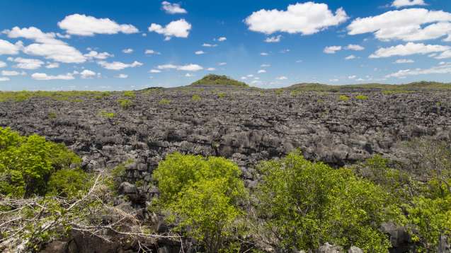 Ankarana tsingy stones, northern madagascar