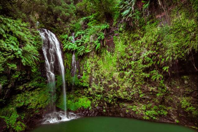The sacred falls in the amber mountains park, madagascar