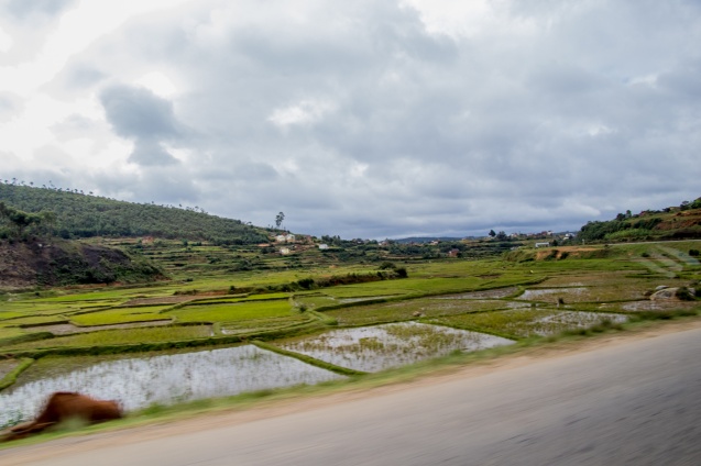 Antananarivo road