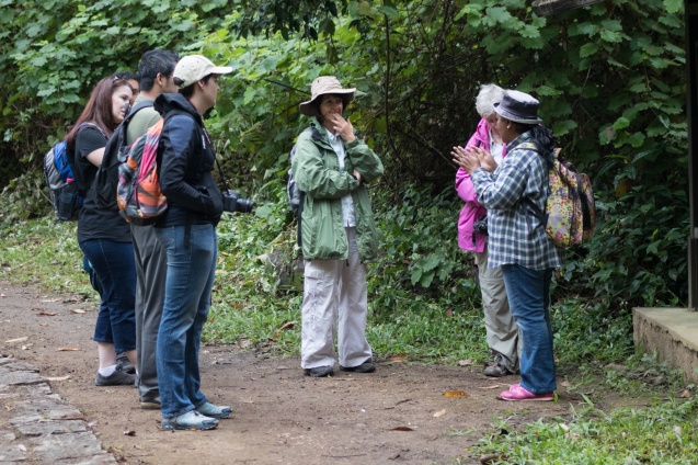 Andasibe Forest walk