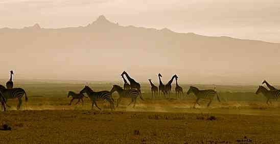 Ol Pejeta Conservancy in Kenya: one of the most special places in Africa!