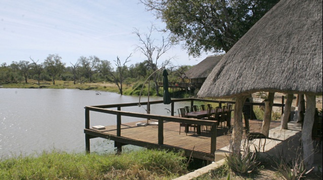 Arathusa, Kruger National Park