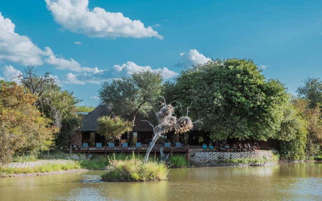 Gomo Gomo, Kruger National Park