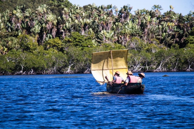 Madagascar safari