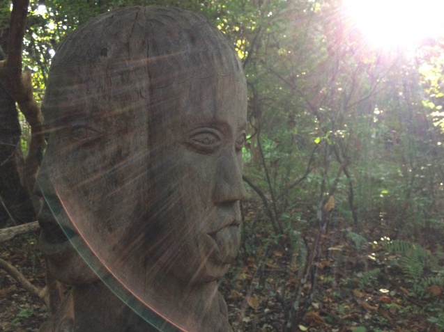 Madagascar scene
