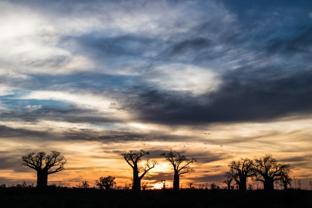 Madagascar sunset
