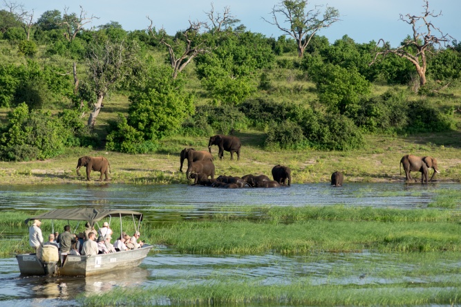 Chobe River boat cruise