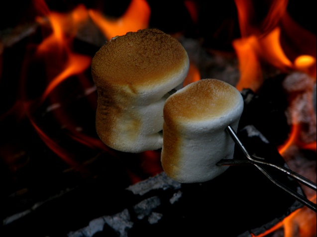 Braaied Marshmallows