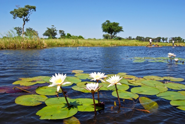 Mokoro trip in the Okavango Delta