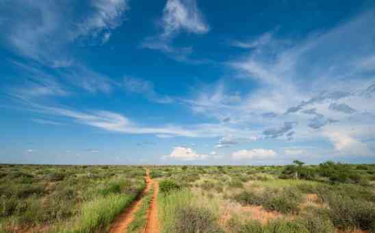 Whats there to love about a wild Kalahari Desert Safari in Botswana?