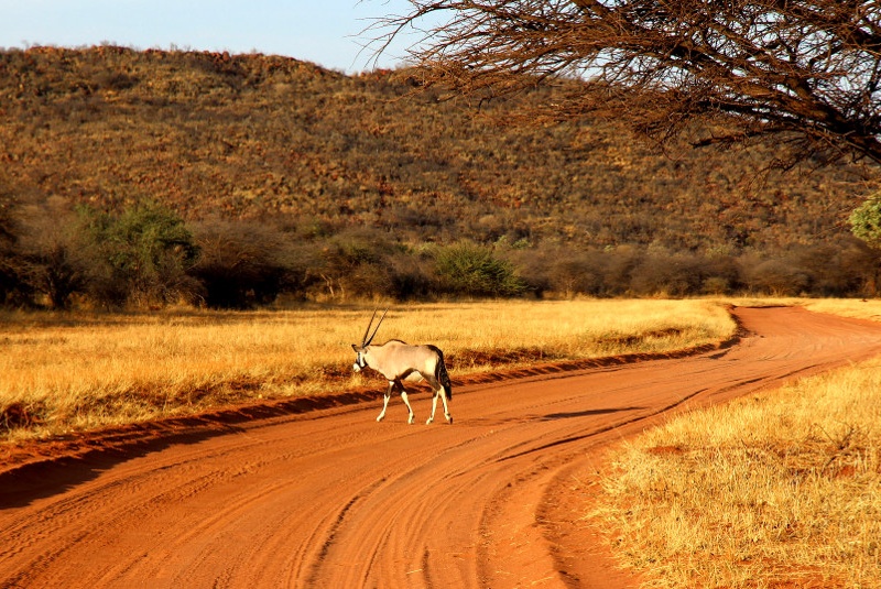 Namibia Game Reserve Grand Tour Namibia Game Reserve Grand Tour