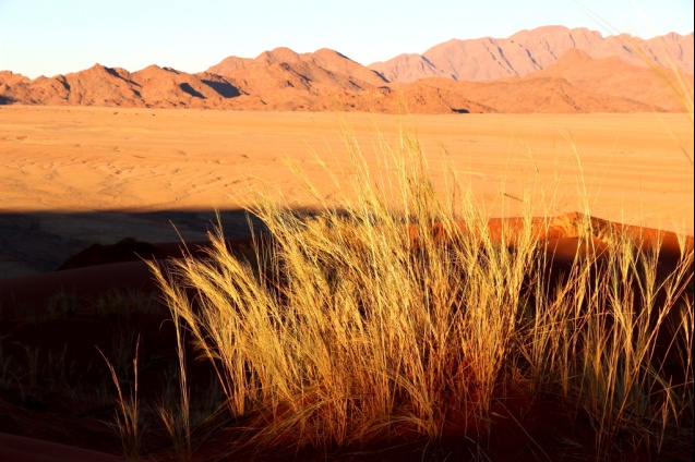 Namib, Namibia