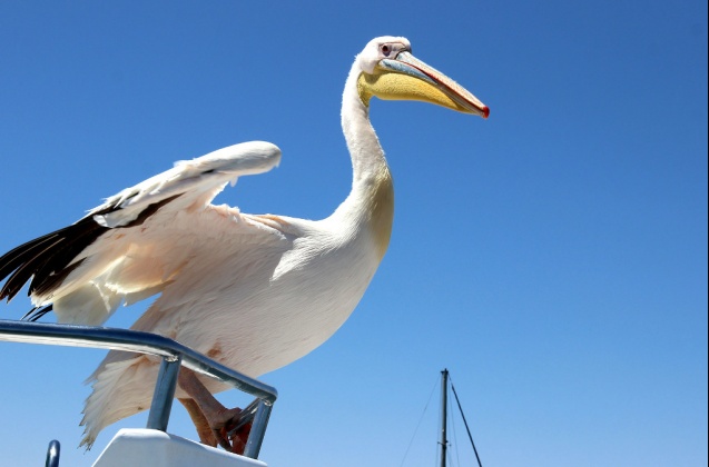Walvis bay, Namibia
