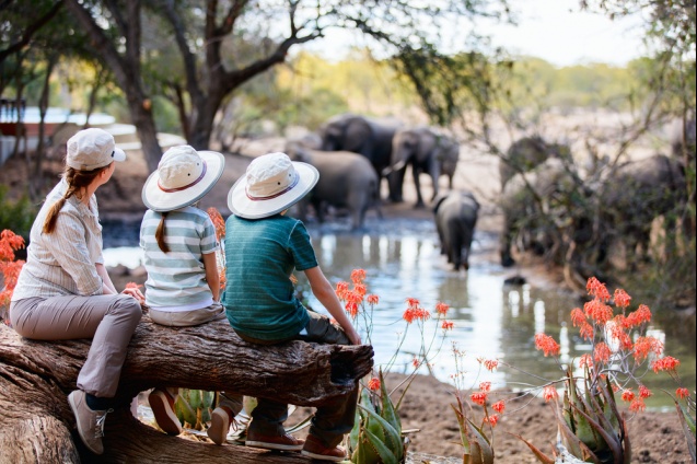 Mother and kids checking out the elephants