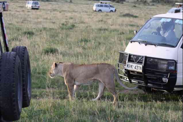 Safari minibus in East Africa